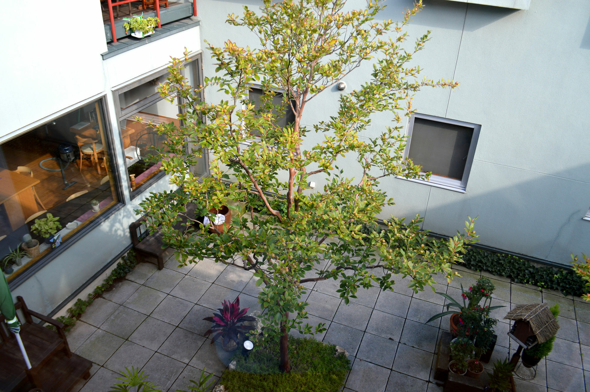 B&B Pension Hakodate-Mura Kültér fotó
